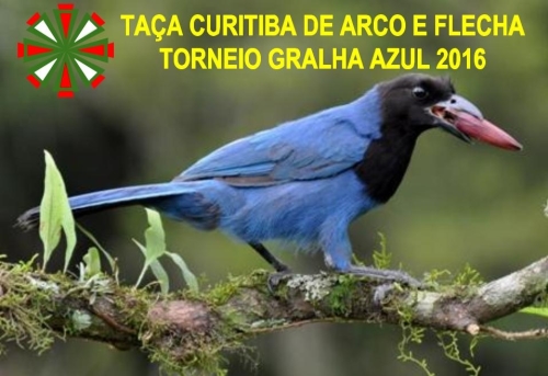 resize-500x343_trofeu-gralha-azul